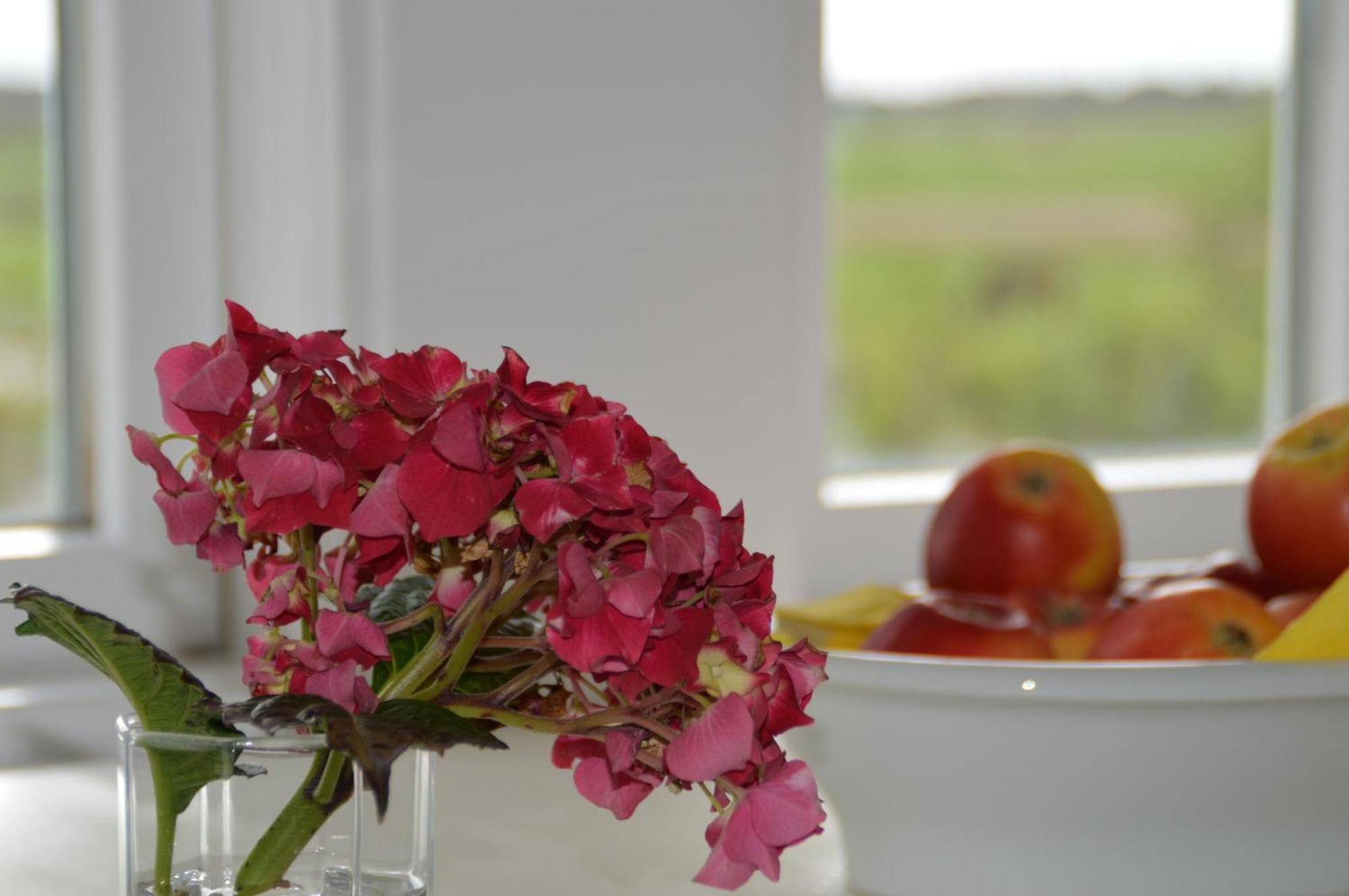Apartment Ley Dunsum